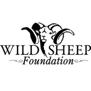 Wild Sheep Foundation Logo